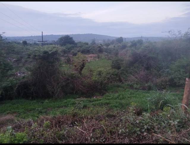LAND FOR SALE IN TSHIKHUDINI
